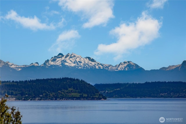 view of mountain background with a heavily wooded area and a nearby body of water