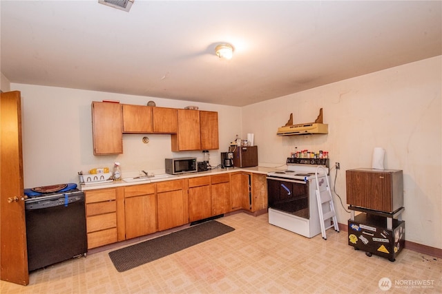 kitchen featuring electric stove, a sink, light countertops, stainless steel microwave, and black dishwasher