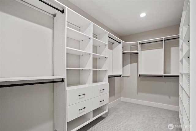 11016 46th St E, Edgewood, WA 98372 - walk in closet with light carpet