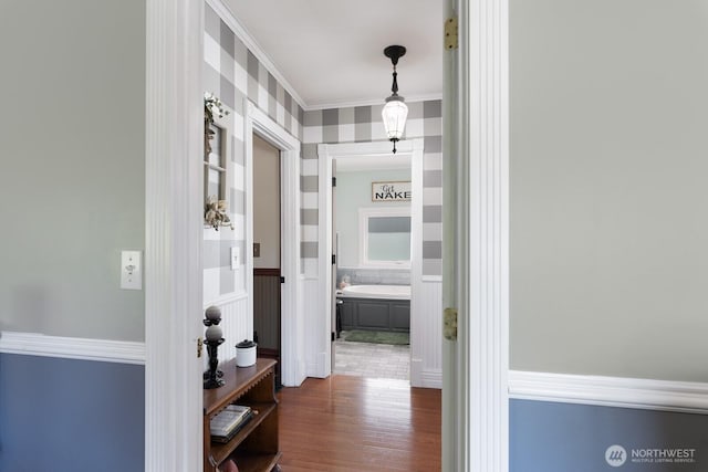 corridor featuring ornamental molding and dark wood-type flooring