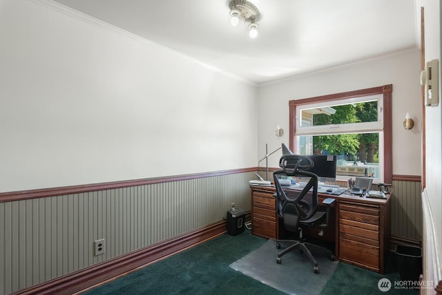 office space with crown molding, a wainscoted wall, and carpet
