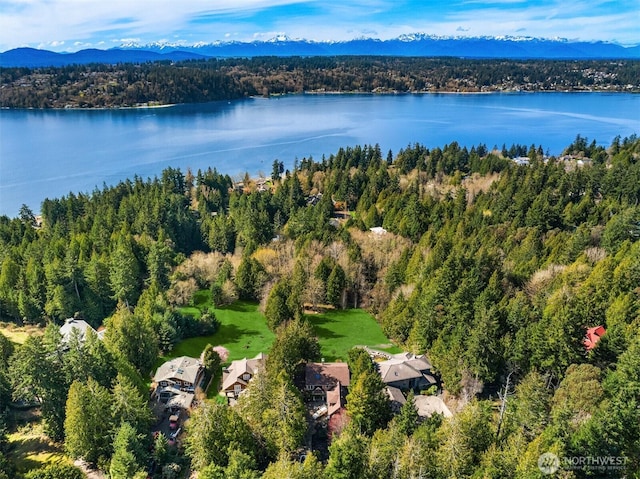aerial overview of property's location with a water and mountain view and a heavily wooded area