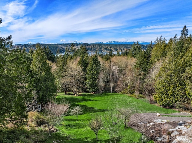 view of mountain backdrop with a forest