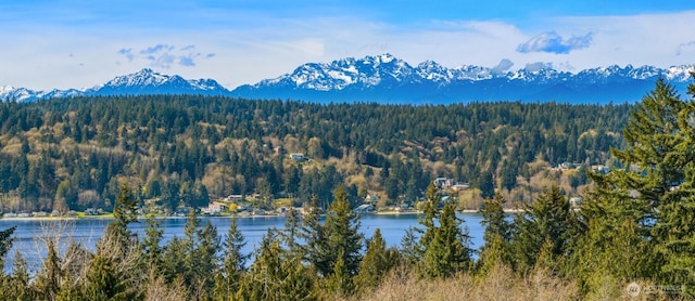 water view with a forest and a mountain backdrop