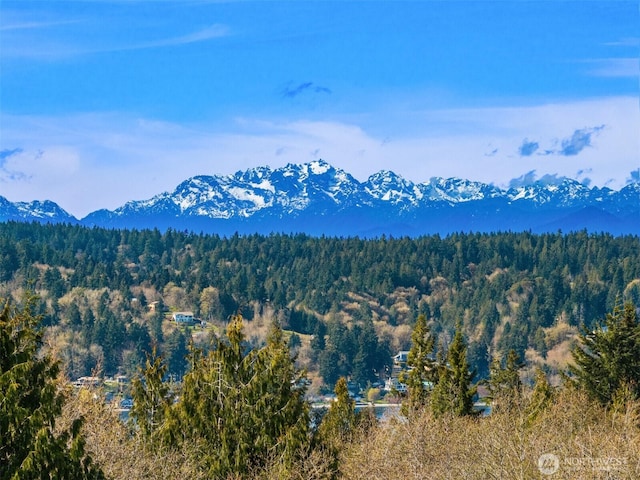 mountain view featuring a heavily wooded area