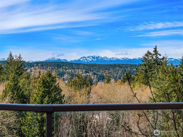 mountain view with a heavily wooded area