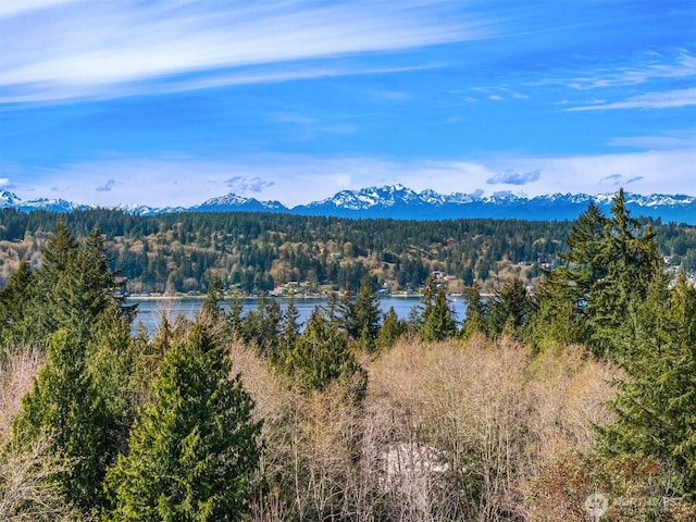 view of mountain background with a forest and a large body of water
