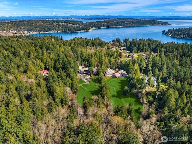aerial view of a heavily wooded area and a nearby body of water