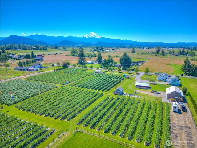 bird's eye view featuring a rural view and a mountain view