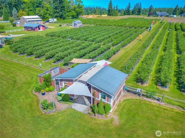 drone / aerial view featuring a rural view
