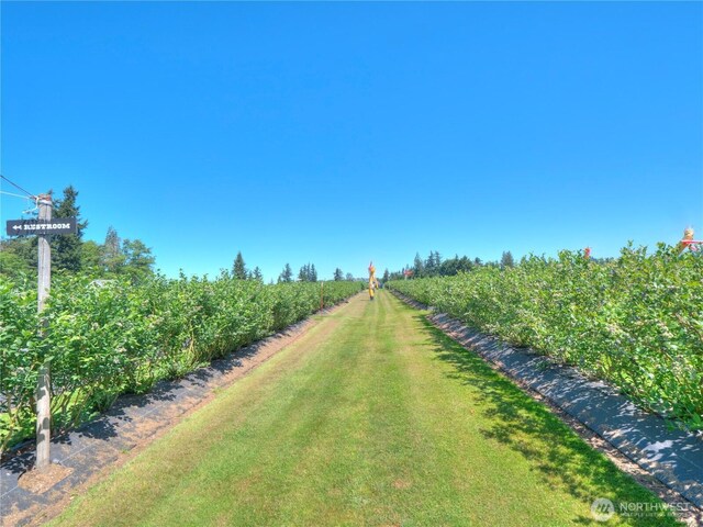 view of yard with a rural view