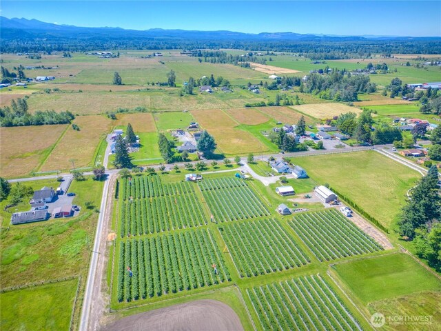 aerial view featuring a rural view and a mountain view