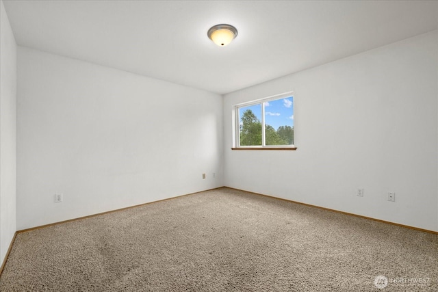 9301002 Stitch Rd, Lake Stevens, WA 98258 - photo 32