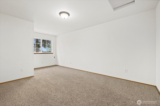 9301002 Stitch Rd, Lake Stevens, WA 98258 - photo 34
