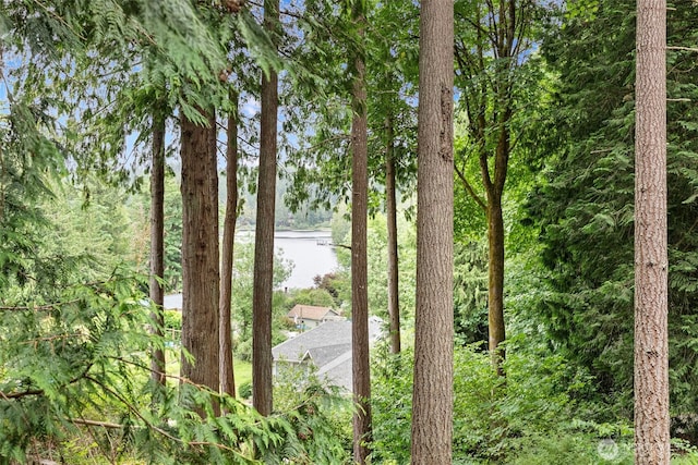 13600 Hillcrest St NW, Poulsbo, WA 98370 - water view with a heavily wooded area