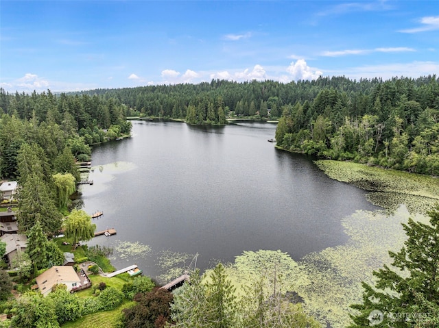13600 Hillcrest St NW, Poulsbo, WA 98370 - water view with a heavily wooded area
