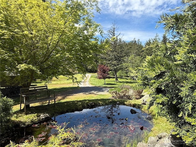 168 Jackson Rd, Orcas Island, WA 98245 - view of home's community