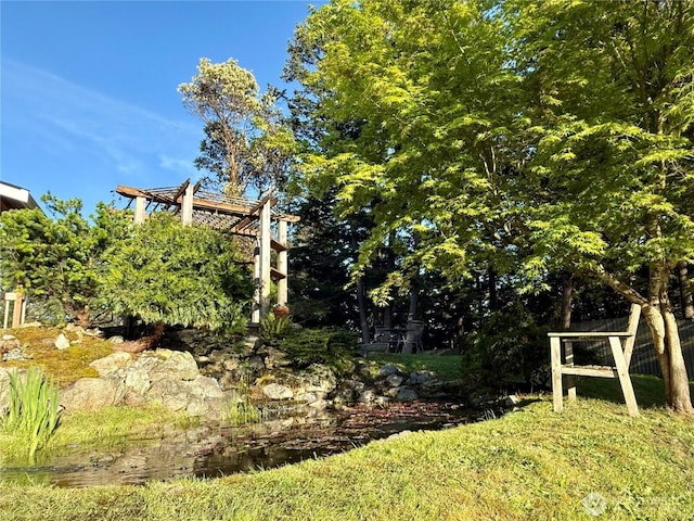 168 Jackson Rd, Orcas Island, WA 98245 - view of yard