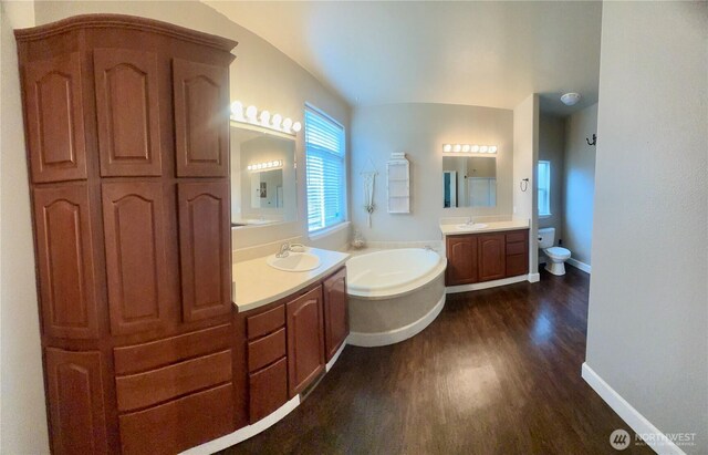 168 Jackson Rd, Orcas Island, WA 98245 - full bath featuring wood finished floors, a bath, baseboards, two vanities, and toilet
