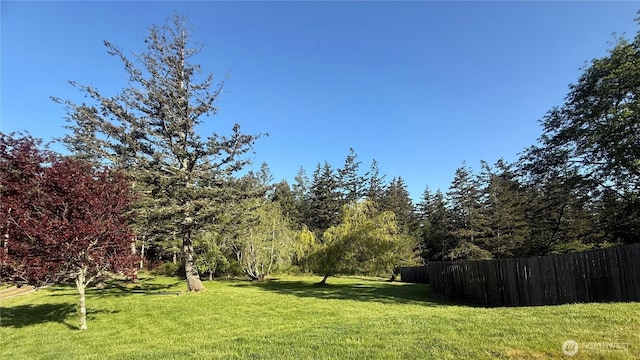 168 Jackson Rd, Orcas Island, WA 98245 - view of yard