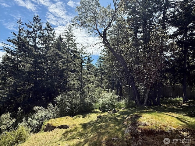168 Jackson Rd, Orcas Island, WA 98245 - view of local wilderness