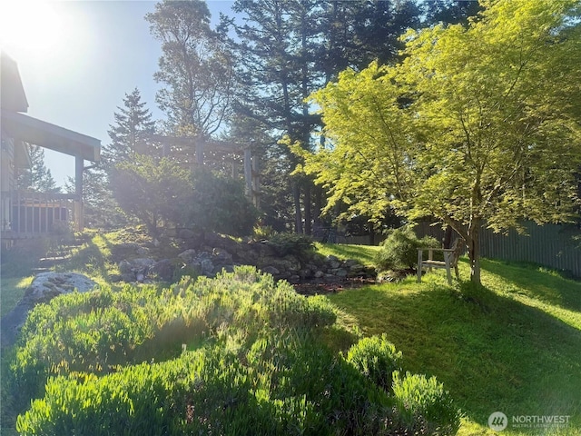 168 Jackson Rd, Orcas Island, WA 98245 - view of yard