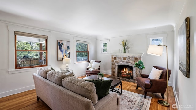 living area featuring baseboards, wood finished floors, and a fireplace