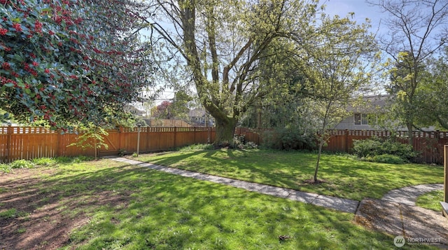 view of yard with a fenced backyard