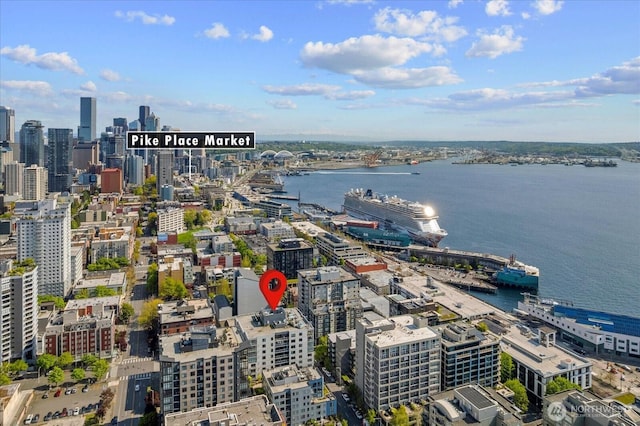 76 Cedar St Unit Ph07, Seattle, WA 98121 - view of urban area featuring a large body of water