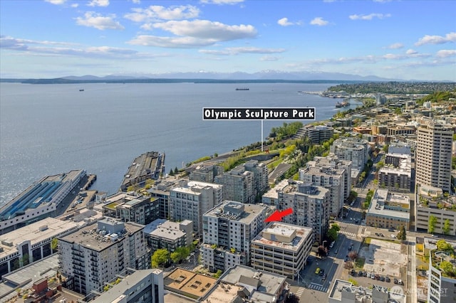 76 Cedar St Unit Ph07, Seattle, WA 98121 - view of urban area with a nearby body of water