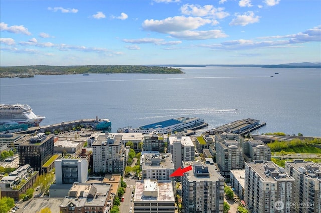76 Cedar St Unit Ph07, Seattle, WA 98121 - view of urban area featuring a large body of water
