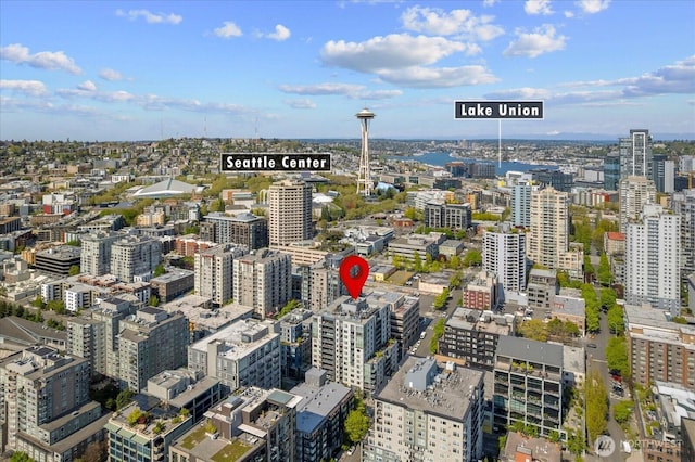 76 Cedar St Unit Ph07, Seattle, WA 98121 - city view
