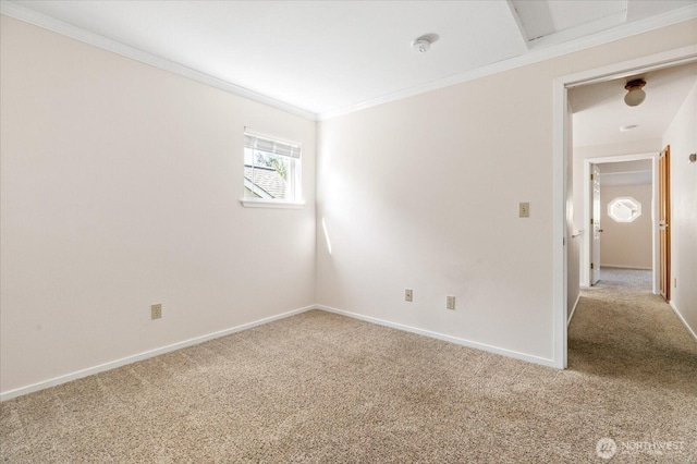 spare room featuring ornamental molding, carpet, and baseboards
