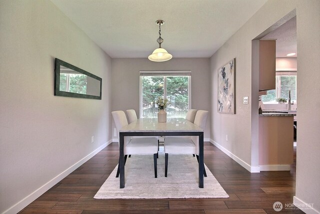 dining area with baseboards and dark wood-type flooring