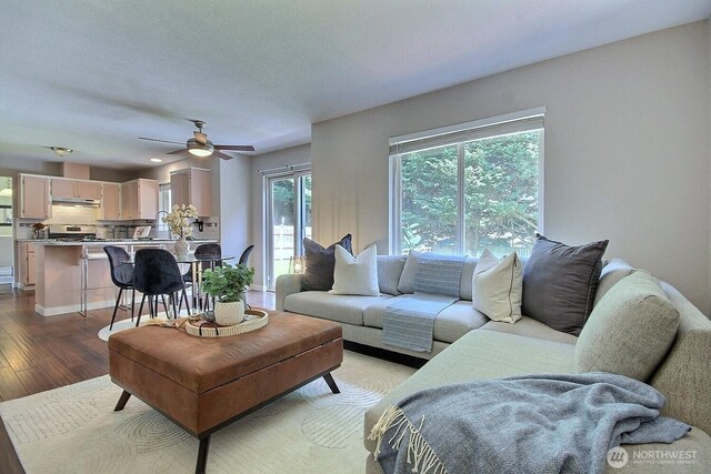 living area featuring wood finished floors and ceiling fan