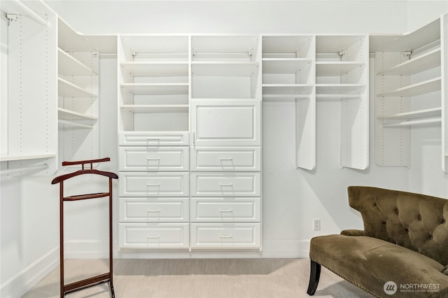 spacious closet with light carpet