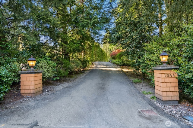 view of road with street lights and driveway