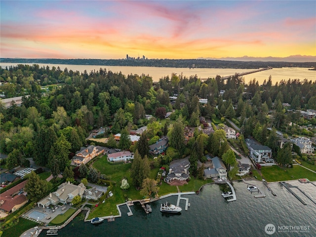 drone / aerial view with a water view