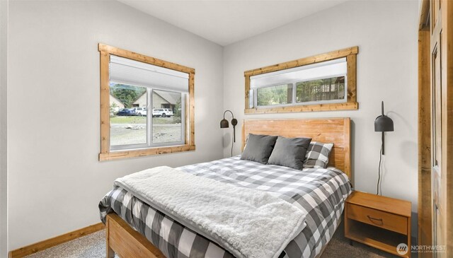 carpeted bedroom with baseboards and multiple windows