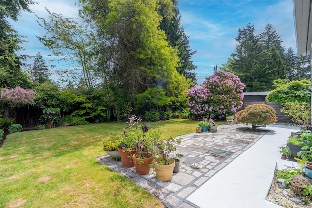 view of grassy yard with a patio