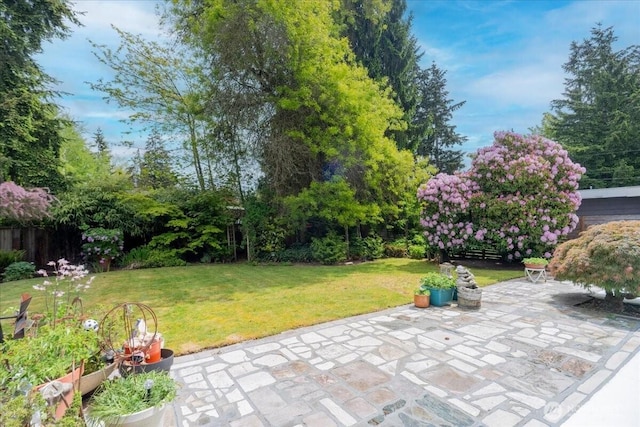 view of grassy yard with a patio