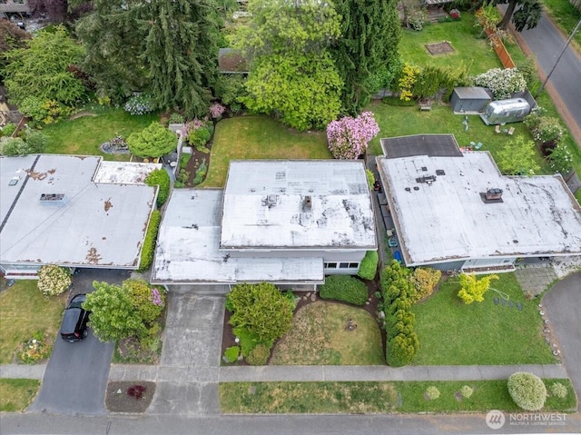 aerial view