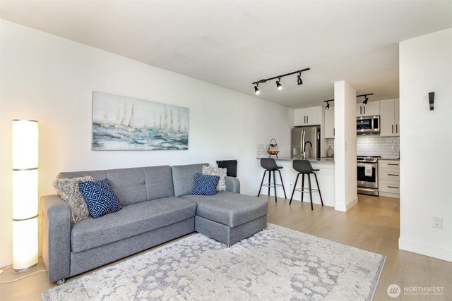 living room featuring light wood-style floors