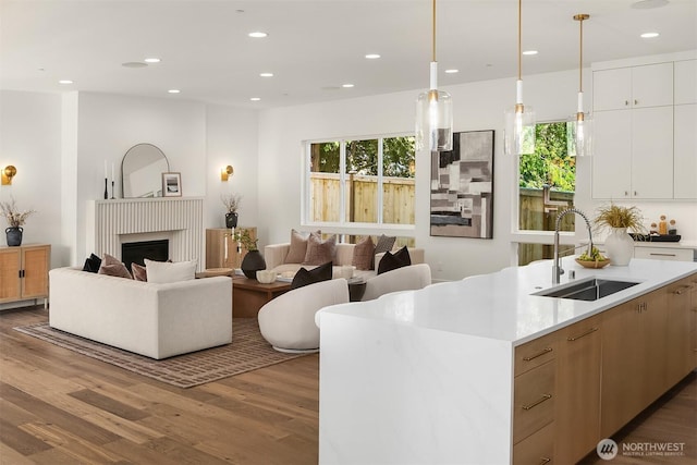 living room featuring wood finished floors, recessed lighting, and a fireplace