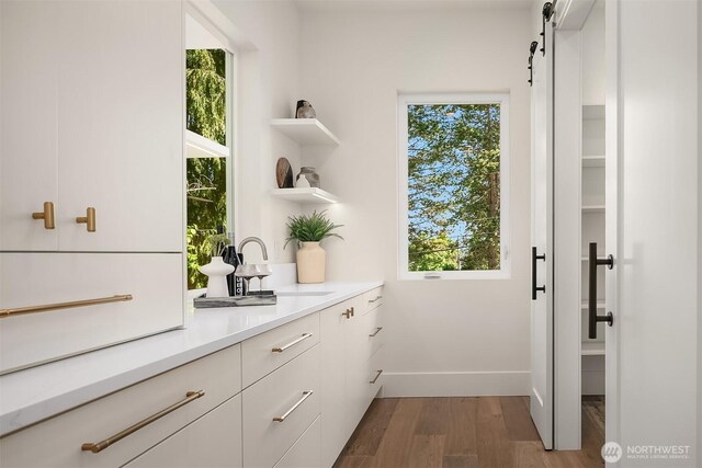 entryway featuring wood finished floors, baseboards, a sink, and a barn door
