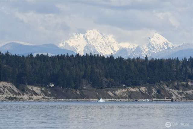 2426 Eastpoint Dr, Langley, WA 98260 - water view featuring a heavily wooded area and mountains