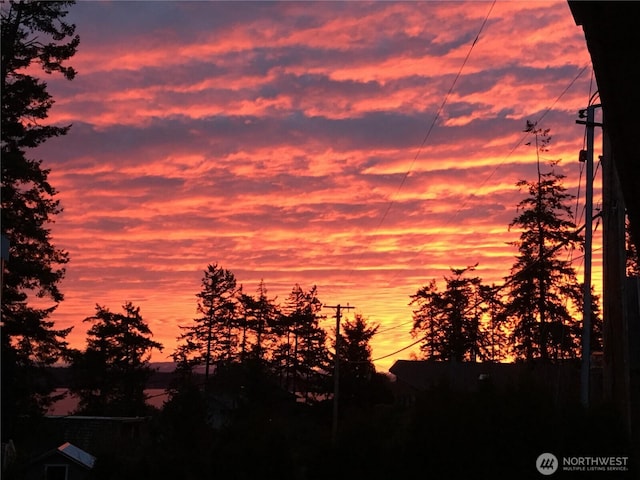 2426 Eastpoint Dr, Langley, WA 98260 - view of nature at dusk