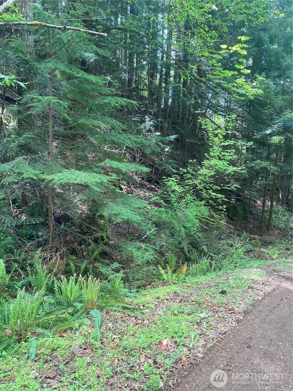 12 Dow Ridge Rd, Hoodsport, WA 98548 - photo 1