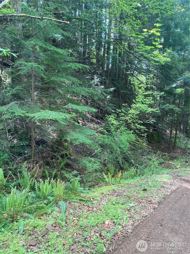 12 Dow Ridge Rd, Hoodsport, WA 98548 - photo 1