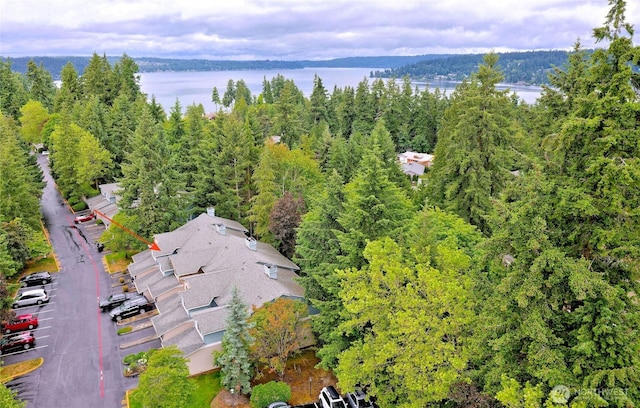 4350 W Lake Sammamish Pkwy SE Unit 133, Issaquah, WA 98027 - drone / aerial view of a large body of water and a heavily wooded area